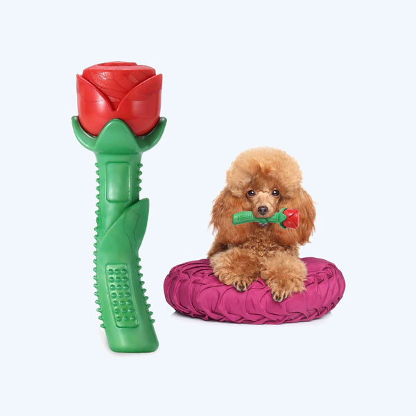 Durable Rose Chew Toys for Small & Medium Dog