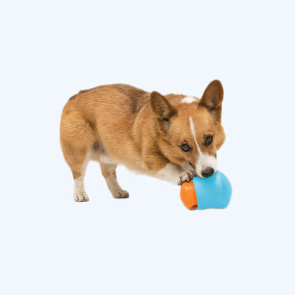 West Paw Zogoflex Toppl Tough Treat Dispensing Dog Chew Toy